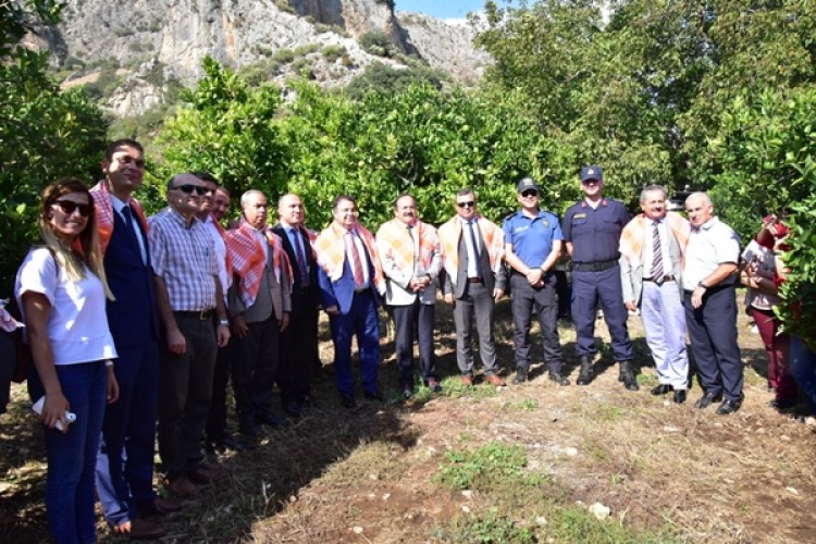 Gelin Kardeş Olalım Projesi İle İzmir Selçuk’ta Kimyasal Kullanılmadan 120 Ton Portakal Üretildi