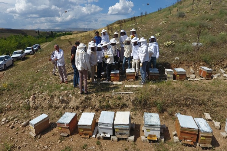 Kahta İlçesinde Arıcılık Kursu Başladı