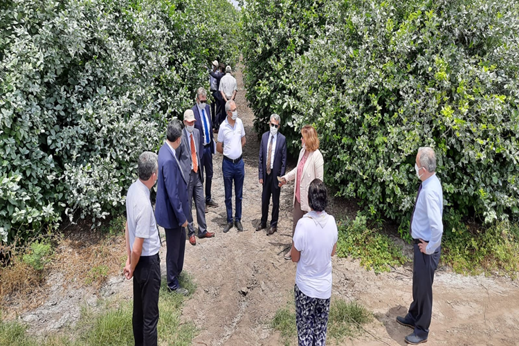 TARSİM'den Adana Turunçgil Üreticileri Birliği Başkanı'na ziyaret