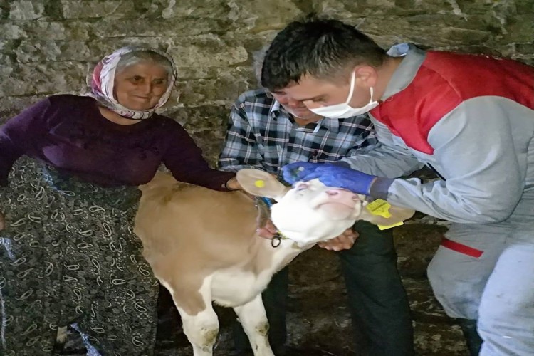 Bolu’da aşı çalışmaları aralıksız devam ediyor