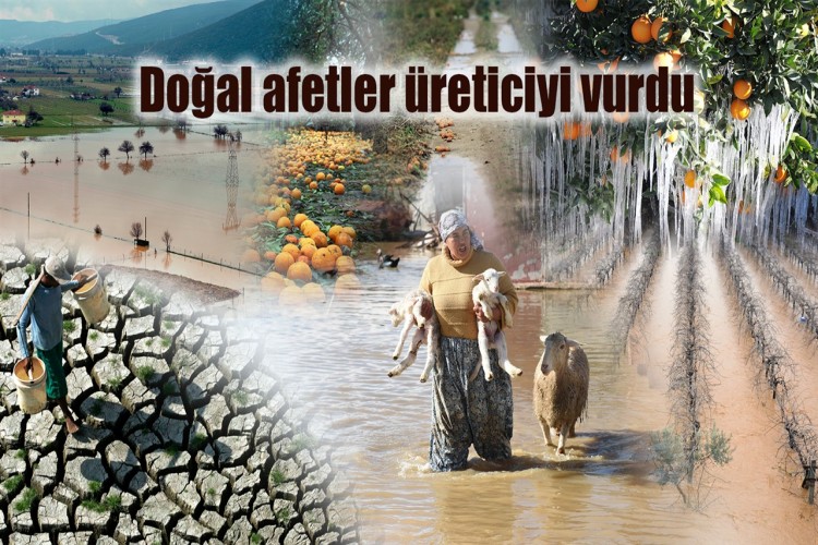 Doğal afetler üreticiyi vurdu