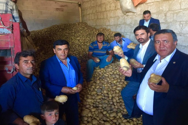 Gürer: Patates Dışsatım Düzenlemesi Üreticiye Darbedir