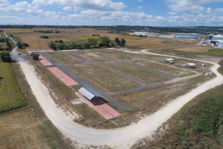 Silivri Belediyesi'nden Kurban Bayramı Hazırlığı