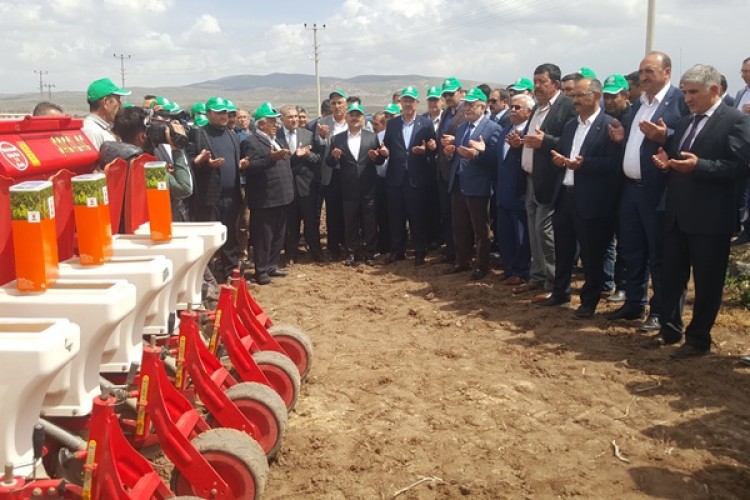 Kayseri Şeker’den Sivas-Gemerek’de Tarla Günü Etkinliği