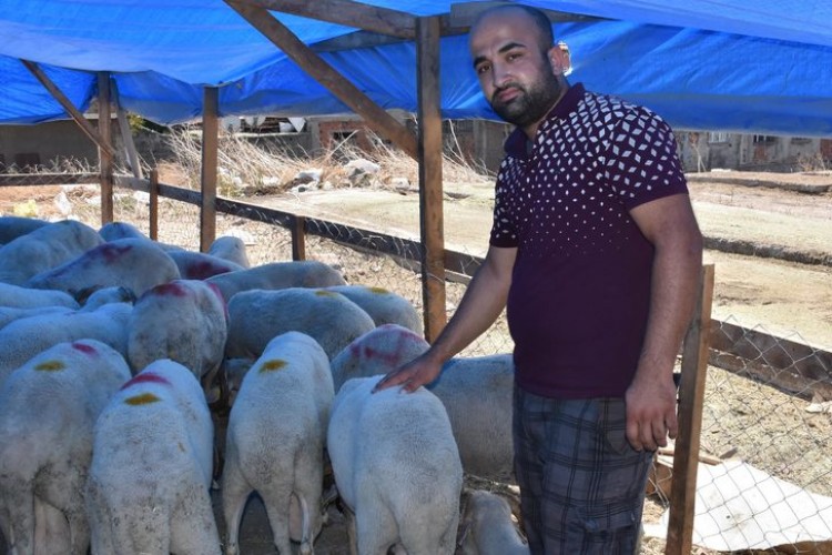 Besicilerden Bakan Pakdemirli'ye Fiyat Tepkisi