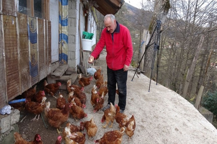 Mühendisliği Bıraktı, Tavuk Çiftliği Kurdu