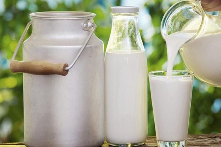 Eroğlu: “Süt Referans Fiyatı 2,5 TL Olmalıdır”