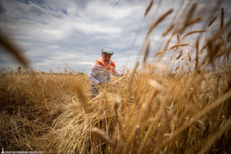 Karakılçık Buğdayı üreten çiftçilere taban fiyatın iki katına alım garantisi