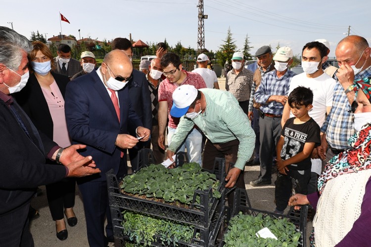 Keçiören Belediyesinden yerli sebze üretimi için çiftçilere büyük destek