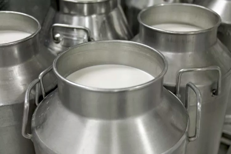 Süt Prim Destekleri Piyasa Koşullarına Göre Ayarlandı