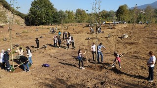 Bir fidan Kocaeli’ye bir fidan Hatay’a