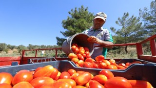 Buca’nın ürünleri 1.458 mutfağa bereket oldu