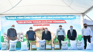 Büyükşehir, 414 Ton Yem Bitkisi Tohumu Dağıttı