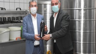 Gemlikli Zeytin Üreticisine de İBB’den Destek