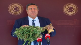 Gürer: “Patates üreticisi ortada kaldı”