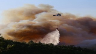 Hatay'daki orman yangınları kontrol altına alındı