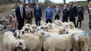 Koyunları kurt saldırısında telef olan aileyi Bakan Pakdemirli sevindirdi