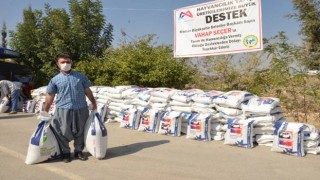 Süt üreticilerine ryegrass tohumu desteği