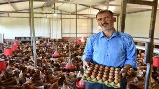 Yarka tavukları üreticinin umudu oldu