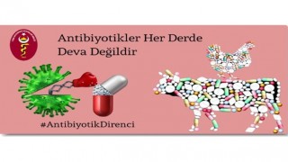 ‘Antibiyotikler her derde deva değildir.’