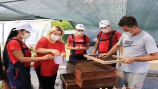 Atakum Belediyesi AtaTohum ile Karadeniz’e öncülük ediyor