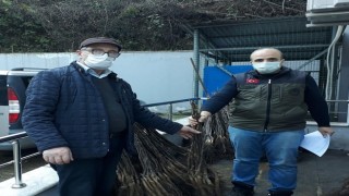 Giresun’da Çiftçilere Sertifikalı Meyve Fidanı Dağıtıldı