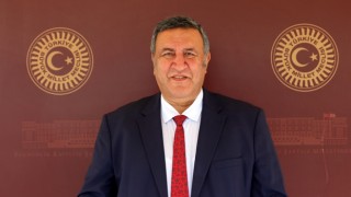 Gürer: “Tohumda karışıklık standartta uygun bulundu!”