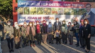 Mersin Büyükşehir’den Üreticilere Binlerce Zeytin Fidanı Desteği