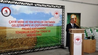 Üreticilere Yüzde 70 Hibeli Yem Bitkisi Tohumu Dağıtıldı