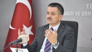 Bakan Pakdemirli: 10 dekarlık bir alanda nane üretmenin net karı 27 bin 433 Lira