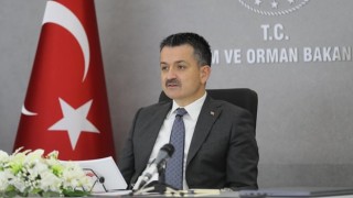 Bakan Pakdemirli: Türkiye Aldığı Önlemlerle Pandemide Sıkıntı Yaşamıyor