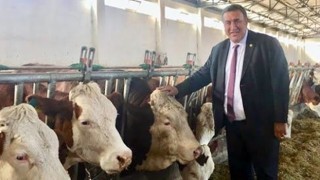 Gürer: “Süt üreticisi yine sırtından vuruldu”