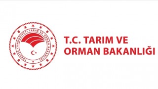 Tarım ve Orman Bakanlığı 826 sözleşmeli işçi alacak