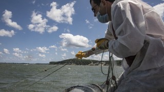 Terkos Gölü’nde, Yasadışı Balıkçılık Denetiminde, 2 Ton Balık Yakalandı