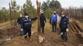 Büyükşehir’den Antalyalı Üreticilere Destek