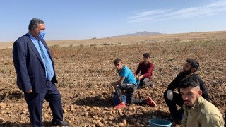 Gürer: “Tonlarca patates depolarda çürüyebilir!..”