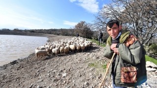 İçme suyu göletleri geldi, hayvancılık yeniden canlandı