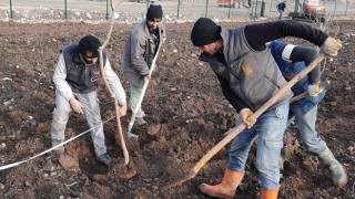 Keçiören Belediyesi 17 dönümlük meyve bahçesi kuruyor