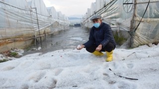 Kumluca'da yağan dolu seralara zarar verdi