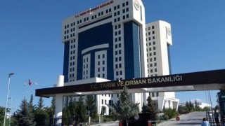 Tarım ve Orman Bakanlığından ‘Ekmek’ Açıklaması