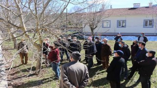 Akseki’de çiftçiye budama eğitimi verildi