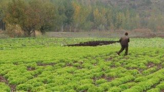 Çiftçinin enflasyonu yüzde 21,26 gerçekleşti