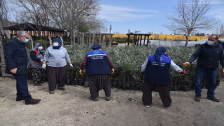 100 bin zeytin fidanı, 100 bin badem fidanı ve 1 milyon adet lavanta fidesi dağıtımına başlandı