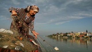 FISHCap çevrimiçi semineriyle Türkiye’nin balıkçılık ve su ürünleri yetiştiriciliği sektörüne derinlemesine bir bakış