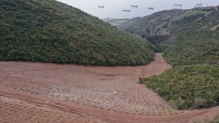 Hereke dolgu alanına 10 bin 500 ağaç dikildi