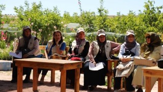 FAO, Konya ve Karaman için “Toplumsal Cinsiyet Eşitliği Eylem Planı” hazırladı
