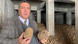Gürer: “Patates üreticisinin uğradığı zarar karşılanmalı”