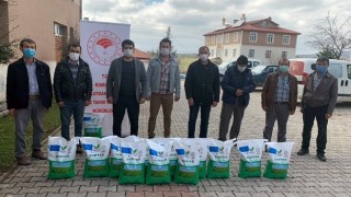 Hayvansal Üretime Yüzde 50 Hibeli Yonca Tohumu Desteği