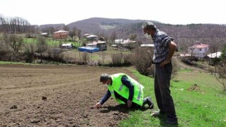 Ordu’nun Atıl Arazileri Yeniden Tarımla Buluştu