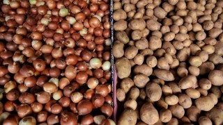 Üreticilerimizden Patates Ve Kuru Soğan Alımına Başlanmıştır
